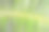 条纹丛林棕榈叶蕨。抽象的绿色纹理背景。创造性的近距离布局由绿色的热带树叶。最小的夏季异国情调概念与复制空间。图片下载