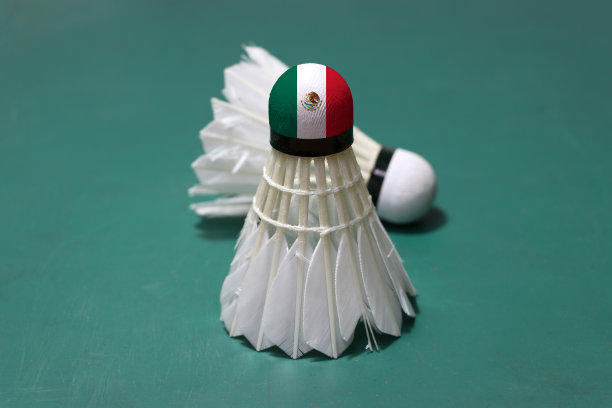 用过的毽子，并在头上涂上墨西哥国旗，把毽子垂直地放在羽毛球场的绿色地板上，并把焦点放在外面。图片下载