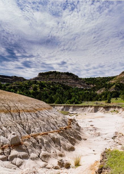 西奥多·罗斯福国家公园七月的风景图片下载