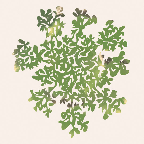 装饰元素的模式。图片下载