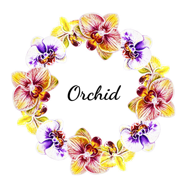 美丽的兰花花环。水彩画。外来植物。印花。植物成分。婚礼和生日。贺卡。图片下载
