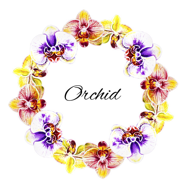 美丽的兰花花环。水彩画。外来植物。印花。植物成分。婚礼和生日。贺卡。图片下载