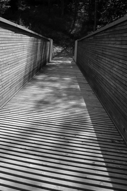 在t台上玩影子图片下载