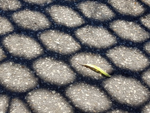 落叶。图片下载