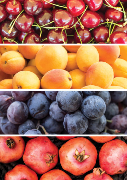 水果和浆果拼贴画图片下载