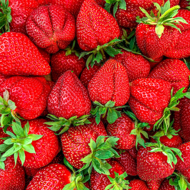 草莓。水果夏天背景。熟透的新鲜草莓靠近。俯视图图片下载