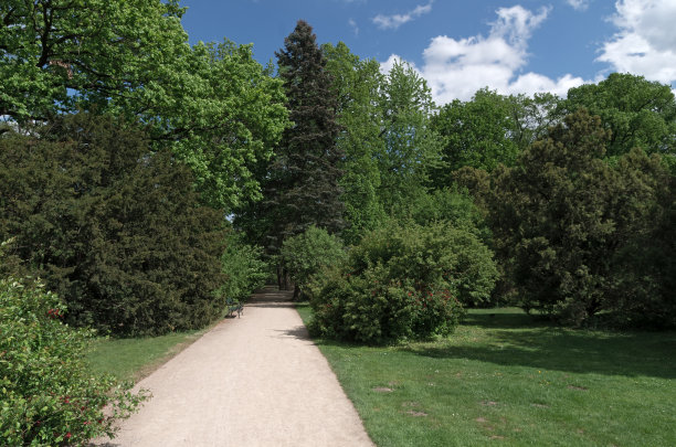 春天的步行街，绿意盎然的城市公园。放松的地方。美丽的游园，远离喧嚣的小镇，阳光灿烂的日子。自然背景图片下载