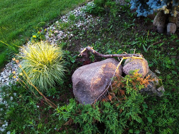 土质景观设计元素上的石头图片下载