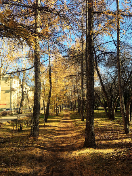 城市公园在一个阳光明媚的日子。图片下载