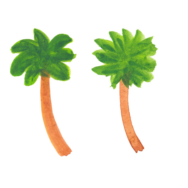 棕榈树的水彩插图图片下载