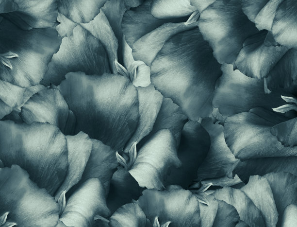 花复古绿松石背景。一束绿松石的花。特写镜头。植物的拼贴画。花组成。大自然。图片下载