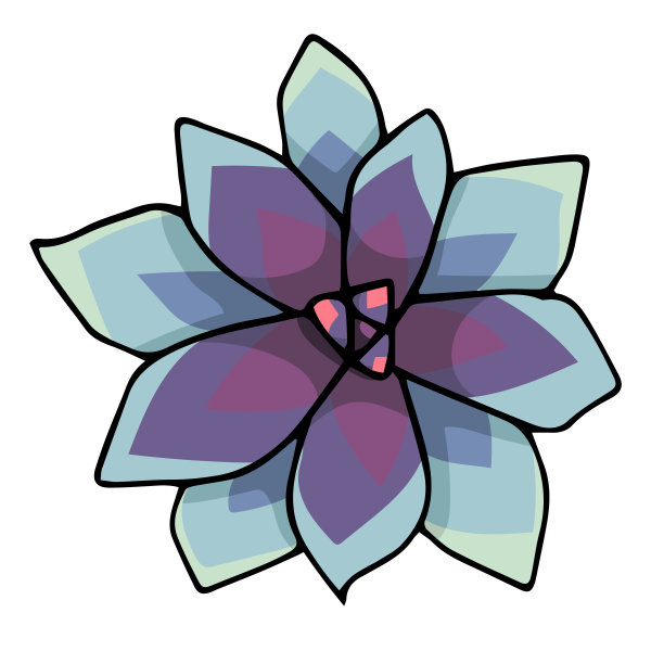 粉色的多汁eheveria。涂鸦艺术矢量孤立的白色背景图片下载