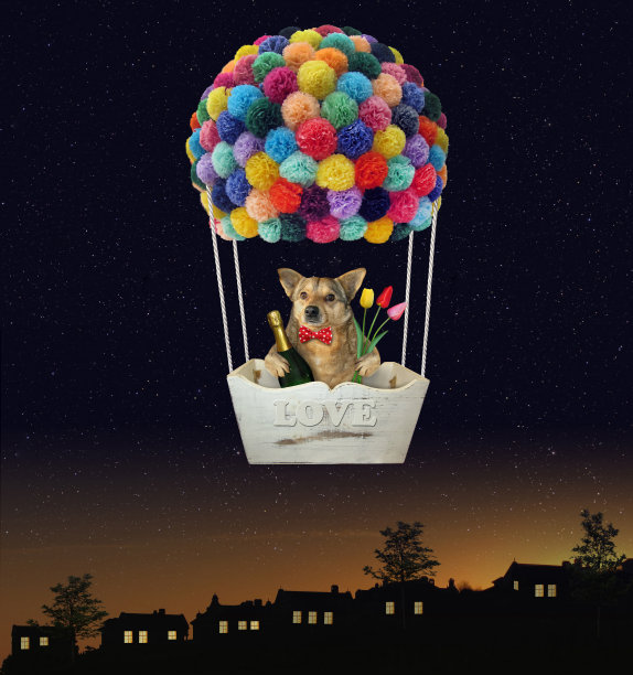 热气球里的狗图片下载