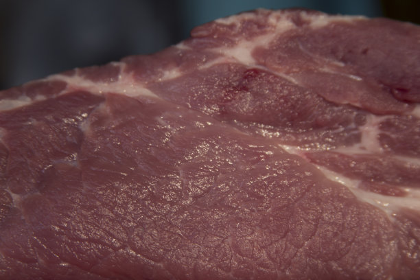 红色背景上的新鲜猪肉。照片为文本图片下载