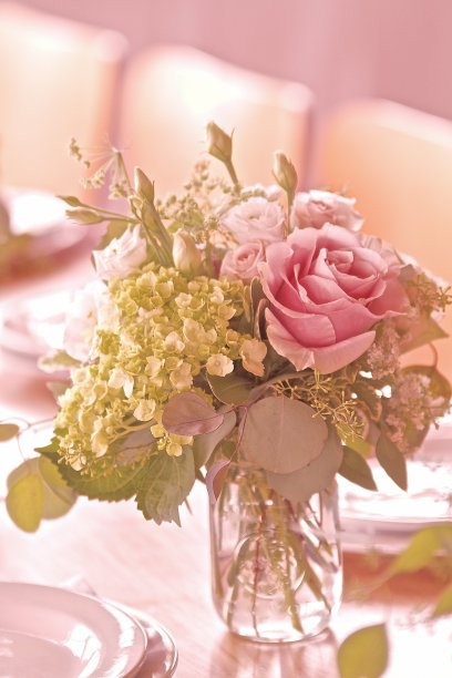 柔和的粉红色图片下载