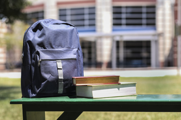 教育对象在学校前面的空长凳上。图片下载