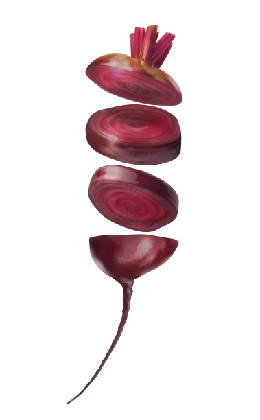 熟甜菜切块。矢量现实插图上的白色背景。图片下载