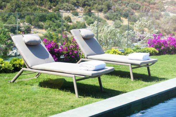 室外游泳池环境与椅子和鲜花图片下载