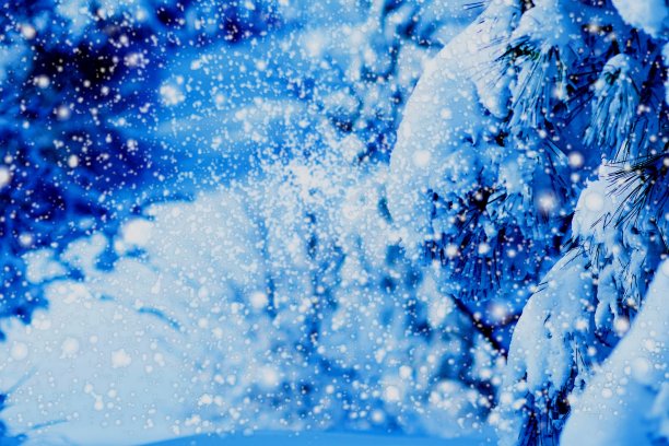 的夜晚。图片下载