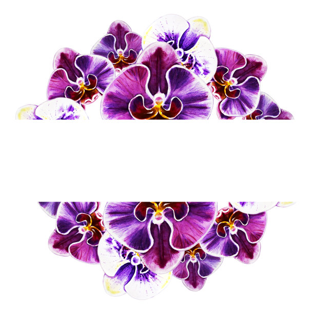 美丽的文字框架从兰花花。水彩画。外来植物。印花。植物成分。婚礼和生日。贺卡。图片下载