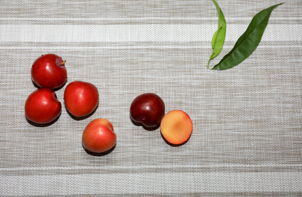 夏天收集新鲜水果图片图片下载