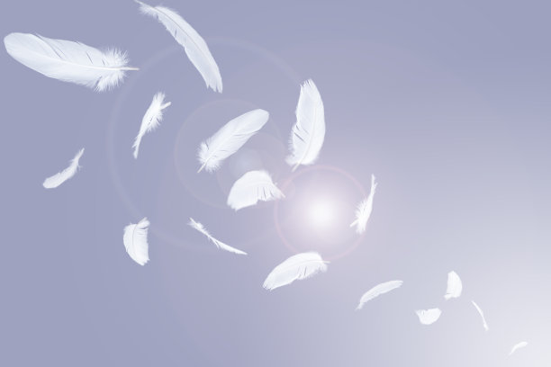 白色的羽毛漂浮在空中。图片下载