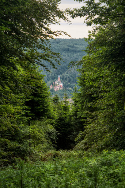 德国Neckarsteig长途徒步旅行沿途的森林景观图片下载
