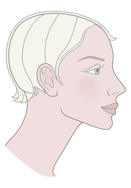 金发女孩，短发，漂亮的头骨。模板。矢量图图片下载