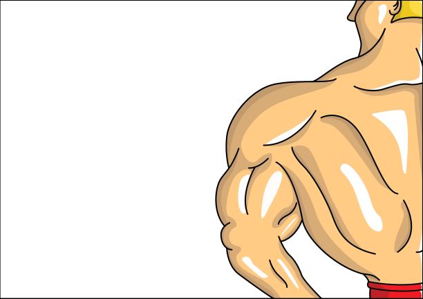 背部矢量图中的男性健美者图片下载