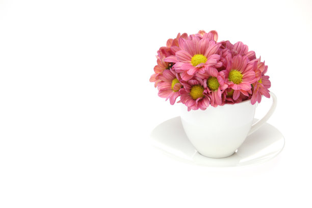 菊花在咖啡杯里图片下载