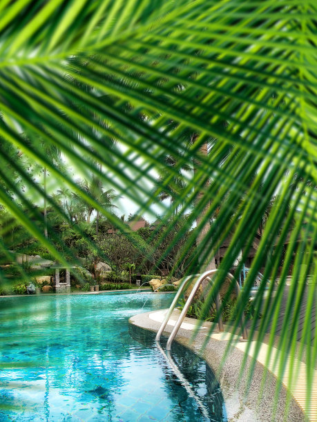 室外游泳池和棕榈树图片下载