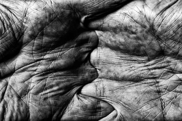 男人的手的细节图片下载