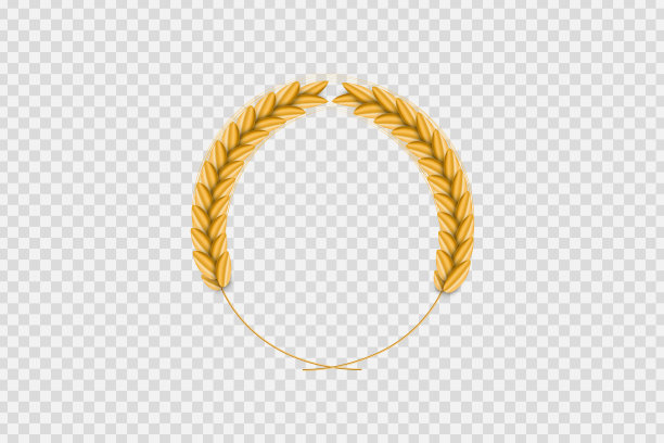 矢量现实隔离小麦框架模板装饰和覆盖在透明的背景。烘焙、有机食品和收获的概念。图片下载