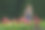 快乐的年轻女子站在公园附近的鲜花，偷拍的户外肖像美丽的黑发图片下载