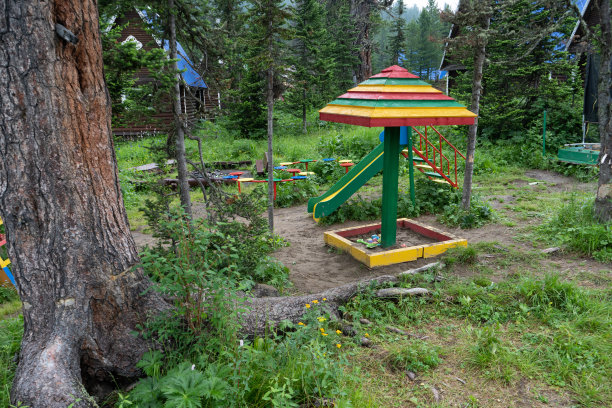 孩子们在森林公园的操场上玩耍图片下载