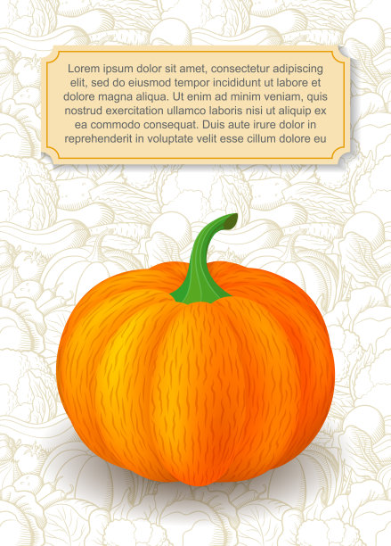 卡片设计模板与南瓜线艺术背景与蔬菜图片下载
