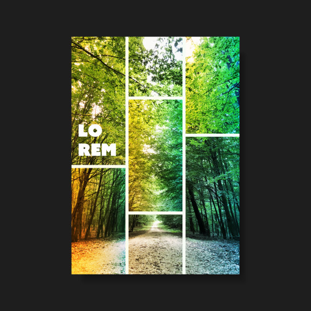 传单或封面设计-林地图片下载