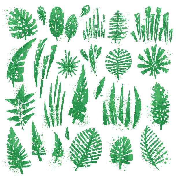 热带纹理的叶子设置富有表现力的水彩飞溅和垃圾纹理。白色背景上的孤立元素集合。矢量热带棕榈叶和丛林叶，裂叶，philodendron叶集图片下载