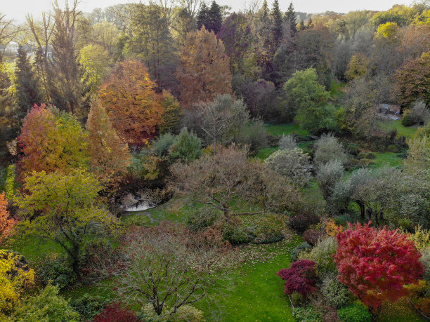 鸟瞰图美丽的花园在秋季。图片下载