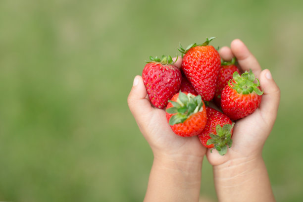 小女孩拿着红草莓，图片下载