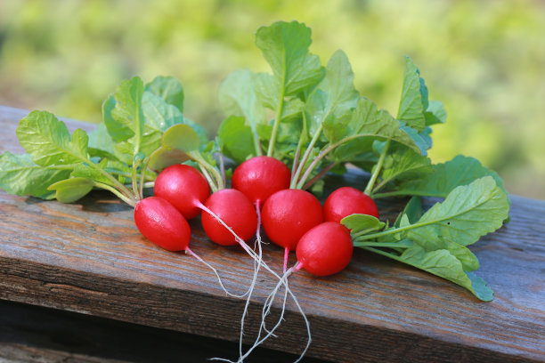 木桌上有机新鲜萝卜串。图片下载