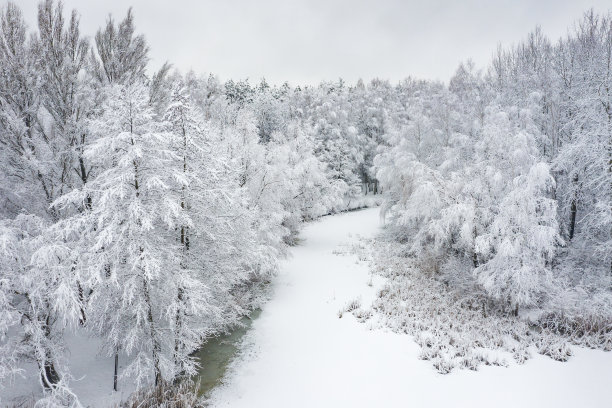 鸟瞰图的冬天美丽的风景与树木覆盖着白霜和雪。从上面看冬天的景色。用无人机拍摄的风景照片。图片下载