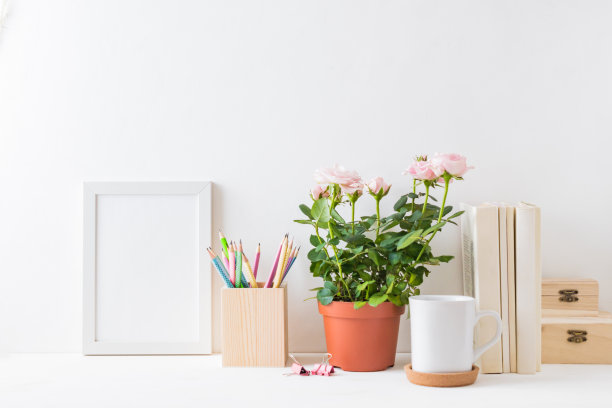 家庭内部装饰元素。白色框架，粉红玫瑰，室内装饰图片下载