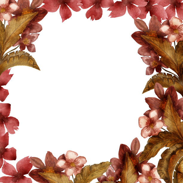 秋天栗色的树枝和花与棕色的叶子孤立在白色的背景。图片下载