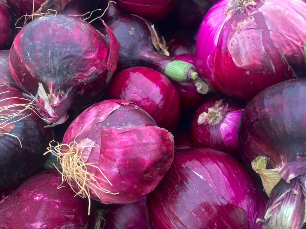 红洋葱图片下载