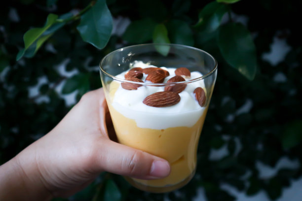 芒果冰沙或芒果酸奶冰沙加上酸奶图片下载