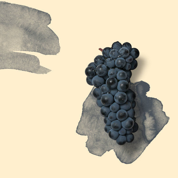 粉彩背景上的蓝色葡萄与深蓝色水彩图片下载