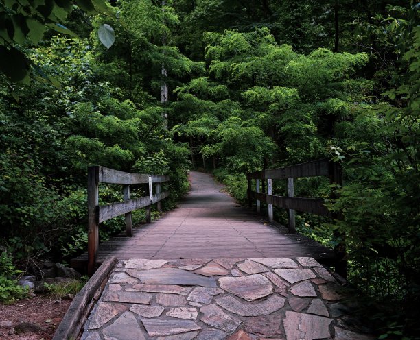 Amicalola登山入口图片下载
