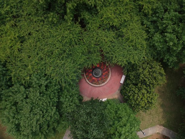 喷泉鸟瞰图图片下载