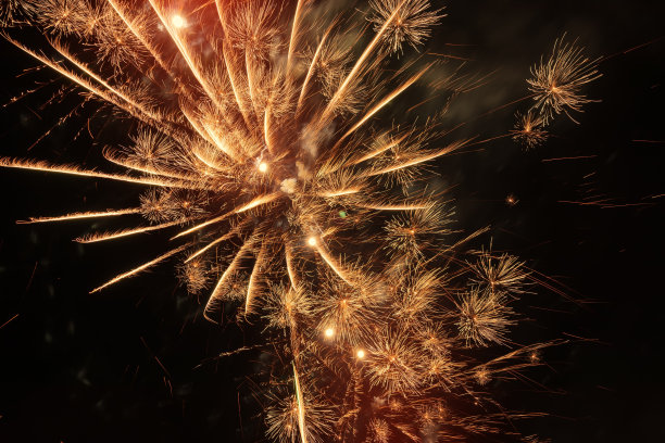 夜空下明亮的烟火图片下载